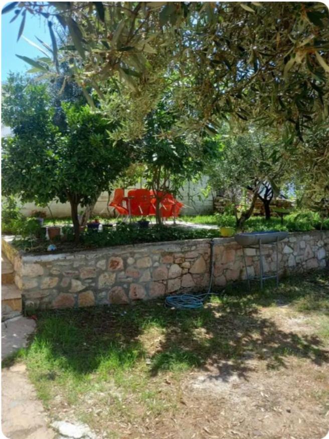 Silvi Apartamento